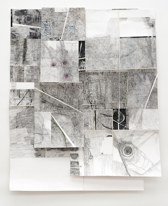 Chris Reinecke, Jagd mit verstärktem Restlicht, 2007 – 2008