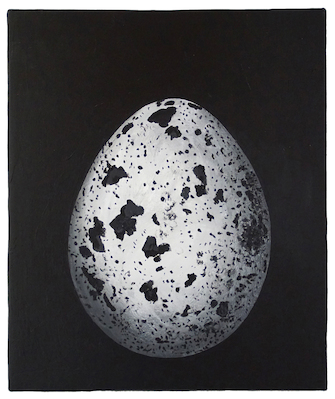 Stefan à Wengen, Detected Dictionary, 2019