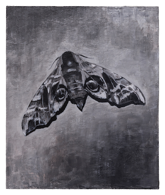 Stefan à Wengen, Detected Dictionary, 2014