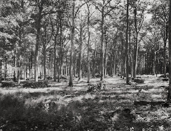 Elger Esser, Combray (Arc-en-Barrois), 2007, &copy; Elger Esser + VG Bild-Kunst, Bonn