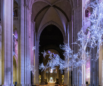 Aljoscha, The Miraculous Draught, 2020