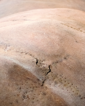 Daniele Ansidei, Landschaft #1 (from the series "Time Heals Everything but Wounds"), 2017