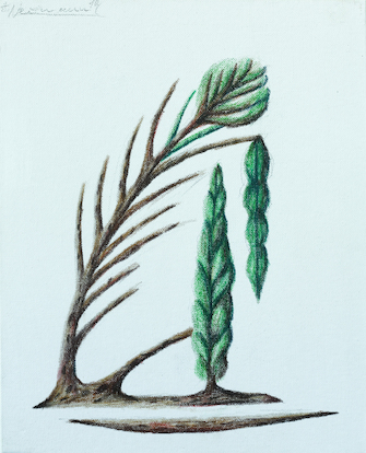 Hartmut Neumann, Wilder Pflanzenwuchs 3, 2019