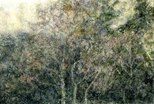 Aljoscha, island #05, 2000