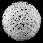 Aljoscha, object 41, 2007