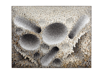 Kwang Young Chun, Aggregation 15-MA017, 2015