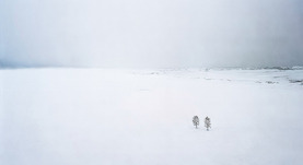 Thomas Wrede, Bäume im Schnee (aus der Serie 'Real Landscapes'), 2010, &copy; Thomas Wrede, VG-Bildkunst, Bonn