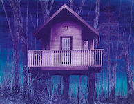 Stefan à Wengen, Baumhaus V., 2002