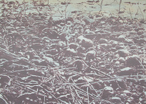 Heribert C. Ottersbach, Åkerö (2), 2008, &copy; H.C. Ottersbach + VG Bild-Kunst, Bonn