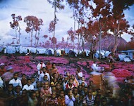 Richard Mosse, Lost Fun Zone, 2012