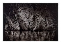 Stefan à Wengen, The Mission (In der Mitte der Nacht beginnt der neue Tag), 2015