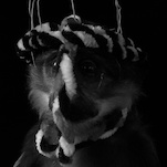 Hartmut Neumann, Punk-Affe im Barock, 2008, &copy; Hartmut Neumann + VG Bild-Kunst, Bonn