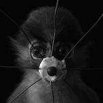 Hartmut Neumann, Punk-Affe strahlend, 2008, &copy; Hartmut Neumann + VG Bild-Kunst, Bonn