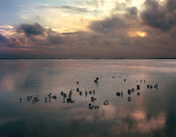 Thomas Wrede, Nach dem Regen (aus der Serie 'Real Landscapes'), 2012, &copy; Thomas Wrede, VG-Bildkunst, Bonn