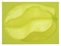 Katharina Schilling, Star Fruit, 2017