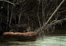 Stefan à Wengen, The Escape, 2007