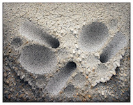 Kwang Young Chun, Aggregation 15-JL039, 2015