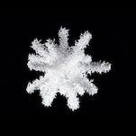 Aljoscha, object # 58, 2008