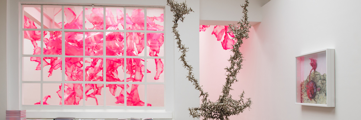 Aljoscha. The Gates of the Sun and the Land of Dreams