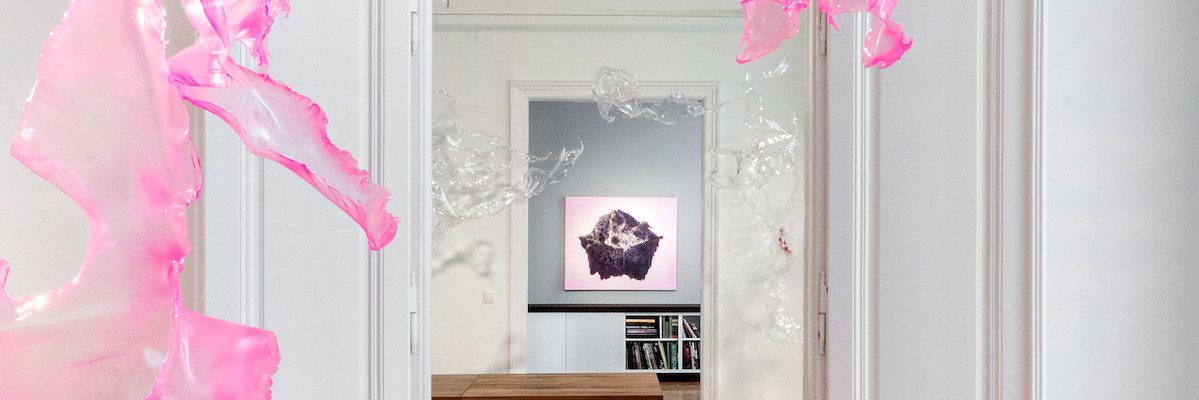 Aljoscha. peak experience