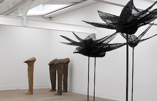 Magdalena Abakanowicz. Birds, Conglomerates, Ghosts, Spirits