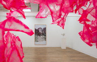 Aljoscha. The Gates of the Sun and the Land of Dreams