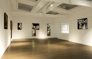 Fabrizio Plessi. Memoria dell'Aqua