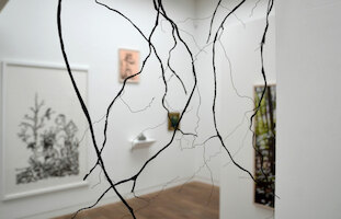 Ein Baum ist ein Baum ist ein Baum...