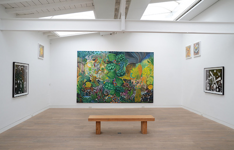 Hartmut Neumann. Üppige Kernzone, Beck & Eggeling, Düsseldorf, 2013 (c) Beck & Eggeling International Fine Art