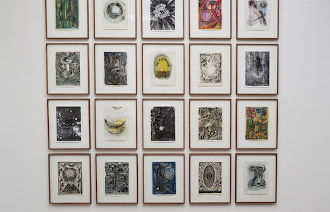 Hartmut Neumann. Üppige Kernzone, Beck & Eggeling, Düsseldorf, 2013 (c) Beck & Eggeling International Fine Art