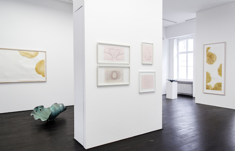 057-2013-04-DSC_5482.jpg (c) 