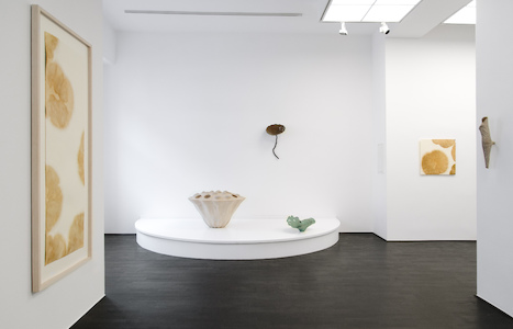 058-2013-04-DSC_5478.jpg (c) 