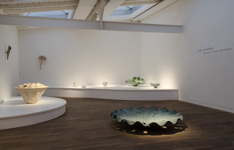 Ausst Nishimura 2013.jpg (c) 