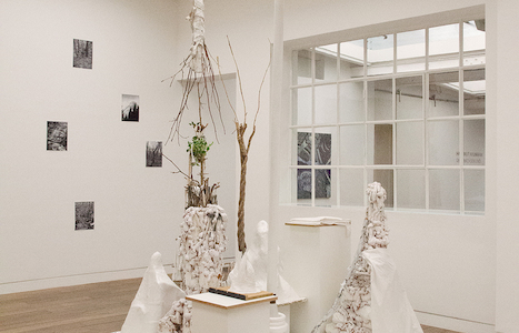 Hartmut Neumann. Überwachsen und Verschwunden, Beck & Eggeling, Düsseldorf, 2018 (c) Beck & Eggeling International Fine Art