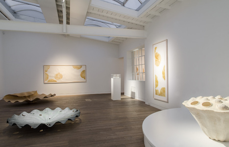 Morio Nishimura  Oblivion. Zugang zum Paradies Beck  Eggeling Dusseldorf 2013_3.jpg (c) 