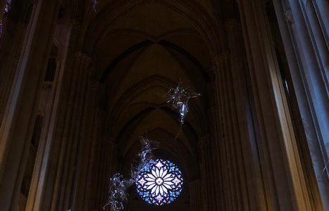 PHOTO20200227144855.jpg (c) 