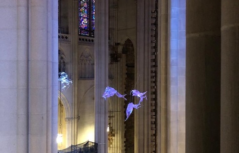 PHOTO20200227144923.jpg (c) 