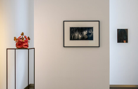 StrangeBeautyBE2017D_DSC4448nw.jpg (c) Beck & Eggeling International Fine Art