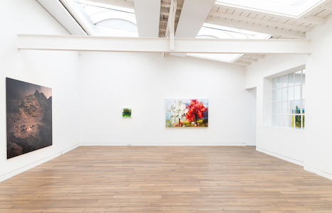 ThomasWrede_Sceneries_2019_2.jpg (c) Linda Inconi-Jansen