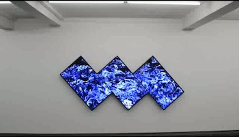 Fabrizio Plessi at Kunsthalle Recklinghausen 5. Mai–7. August 2016