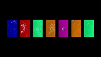 Fabrizio Plessi at TEFAF MAASTRICHT 2018