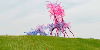 Aljoscha at Landesgartenschau 2020 in Kamp-Lintfort