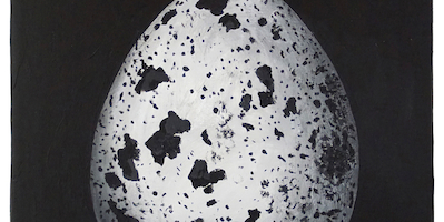 Stefan à Wengen »INSTANT PANOPTIKUM«