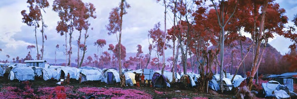 EIN BAUM IST EIN BAUM IST EIN BAUM...