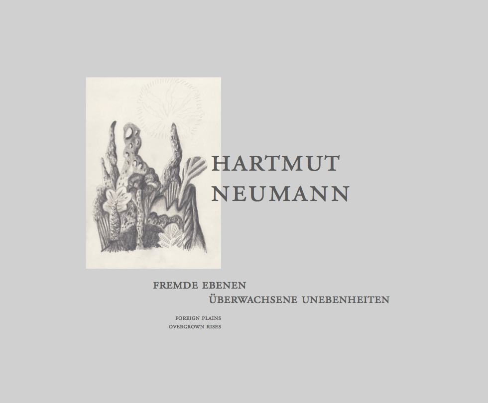 Hartmut Neumann. Fremde Ebenen – Überwachsene Unebenheiten